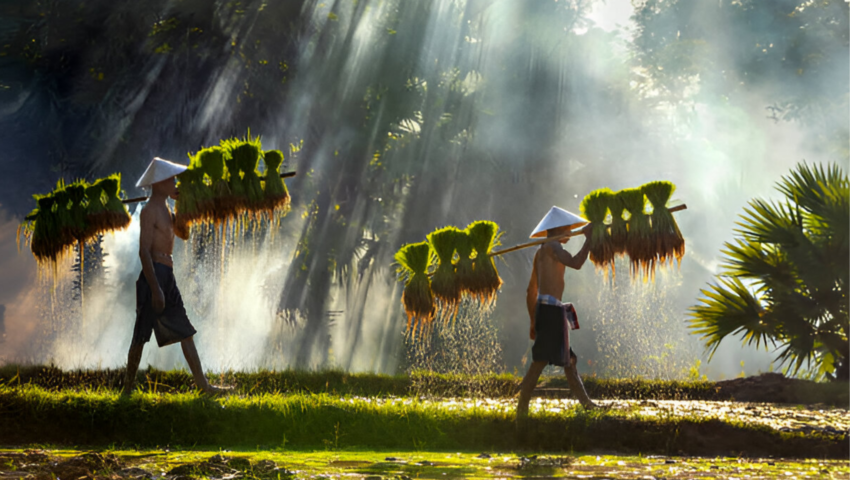 vacaciones en Vietnam y Laos