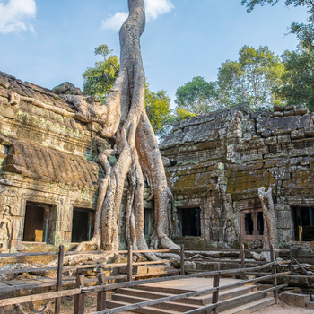 Siem Reap - Banteay Srei - Ta Prohm