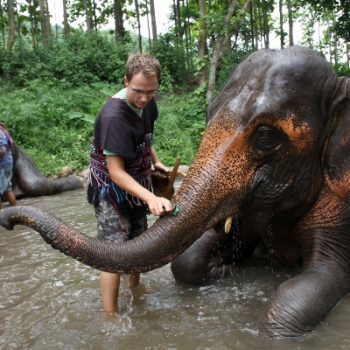 Chiang Mai - campamento de elefantes