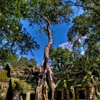 Siem Reap – Banteay Srei –  Ta Prohm