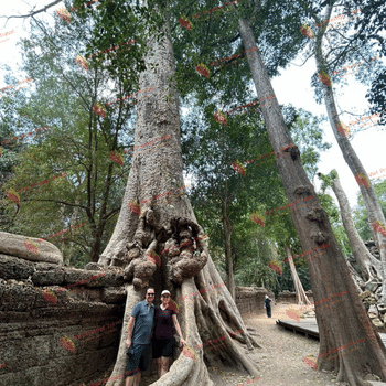 Siem Reap - Banteay Srei - Banteay Samre - Ta Prohm