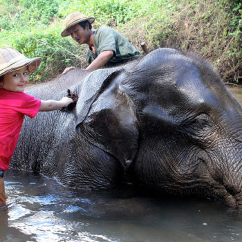 Pindaya - Campamento de elefantes - Kalaw