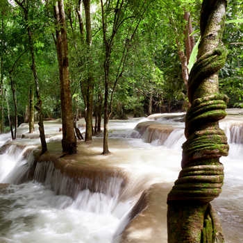 Luang Prabang – Tour de la ciudad