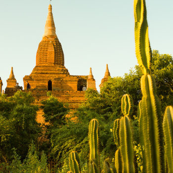 Bagan – Monte de Popa 