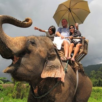 Chiang Mai – Campamento de elefante – Rafting de bambú