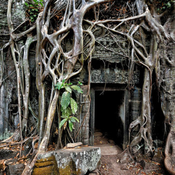 Siem Reap - Banteay Srei - Ta Prohm - Siem Reap