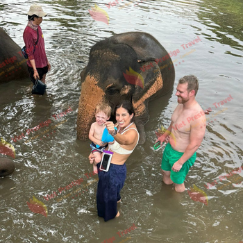 Chiang Mai - Campamento de los elefantes