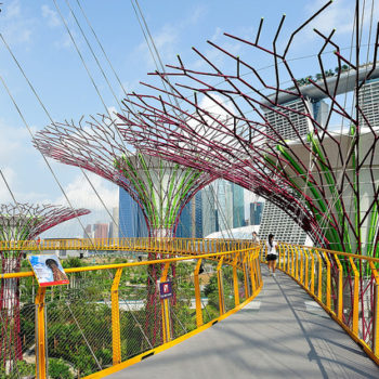 Jardín futurista de Singapur - Salida
