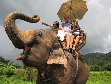 Campamento de elefantes - Chiang Mai