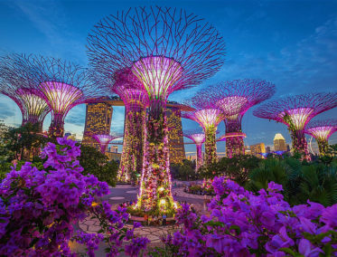 El Garden by the Bay - Singapur