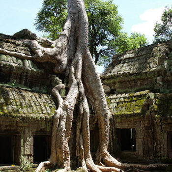 Banteay Srei - Banteay Samre - Ta Prohm