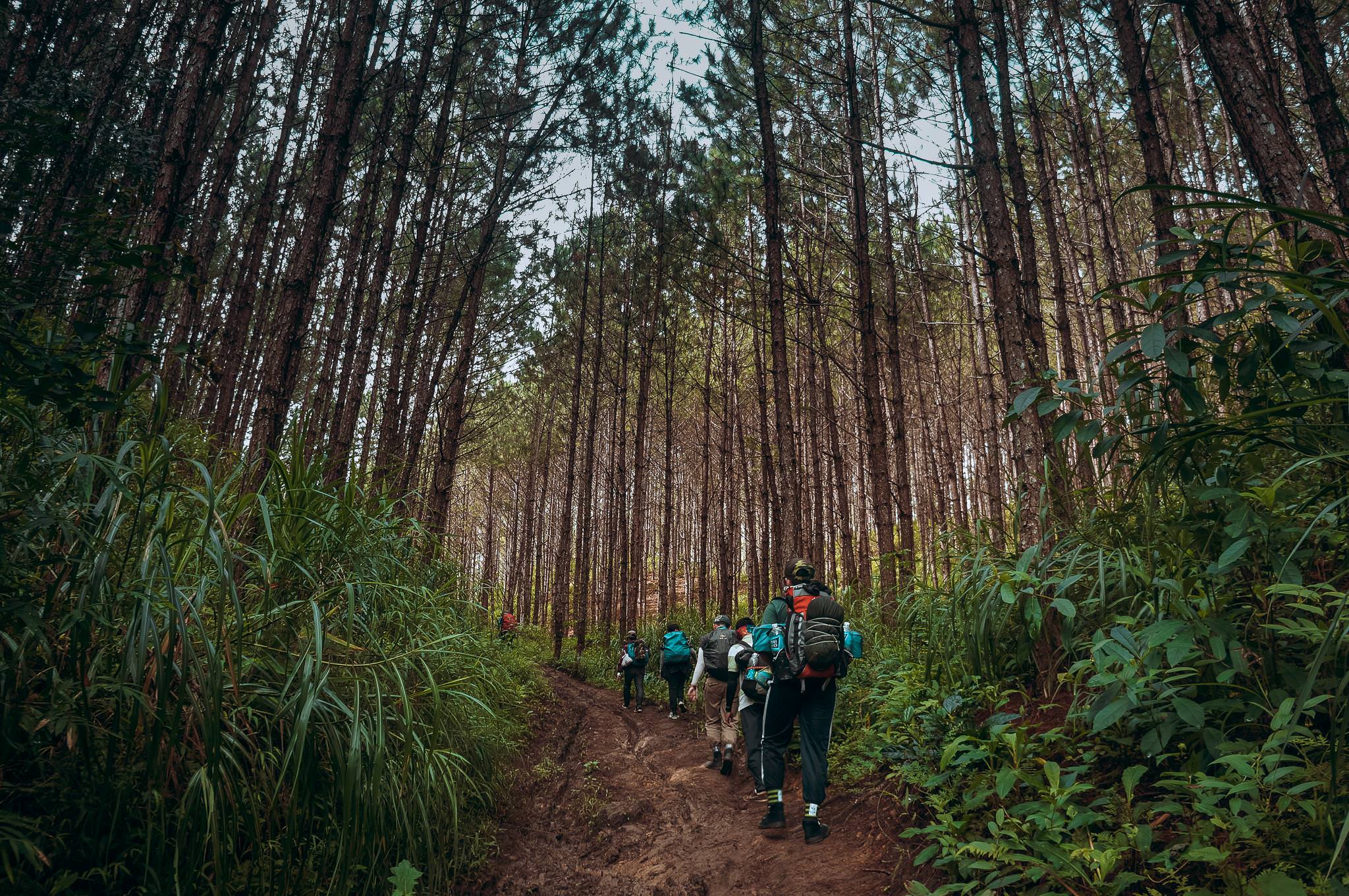 mejores-rutas-de-trekking-en-Vietnam