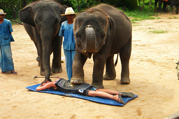 masaje-relajante-con-el-grifo-y-las-piernas-de-un-elefante-Tailandia