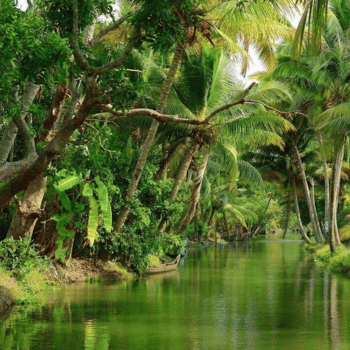 Explorando el Delta del Mekong