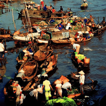 Navega en Delta del Mekong