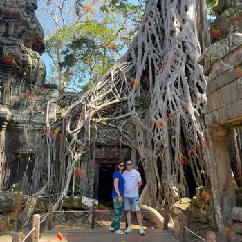 Siem Reap - Recorrido por complejo Angkor - Ta Prohm