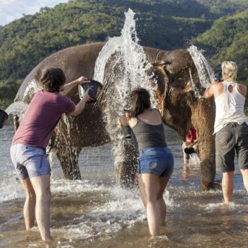 Excursión en santuario de elefantes en Chiang Mai