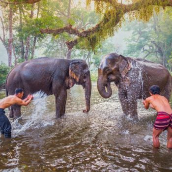 Bangkok - Kanchanaburi, campamento de elefantes – Bangkok