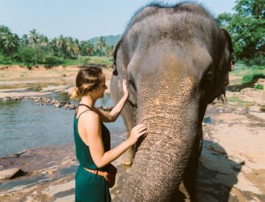Santuarios de elefantes éticos