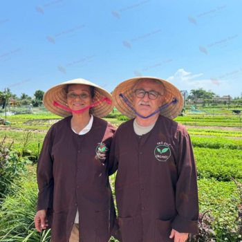 Los pueblos alrededores en Hoi An