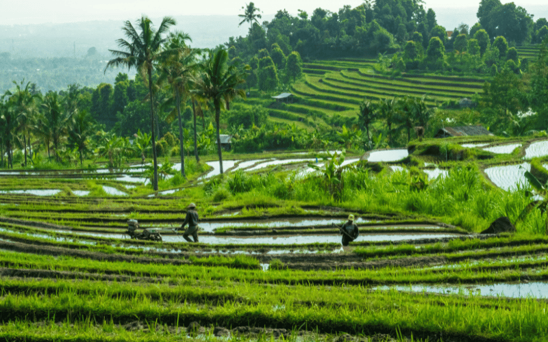 mejores destinos en Bali