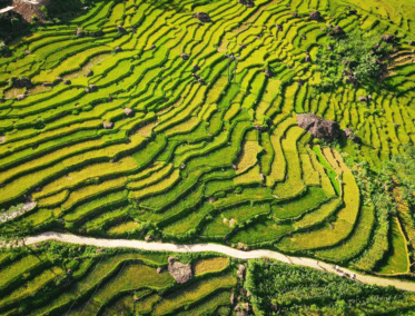 Senderismo entre Nubes en Sapa