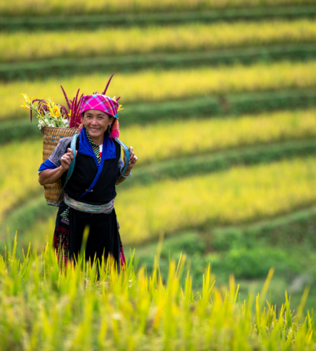 viaje tailandia camboya vietnam