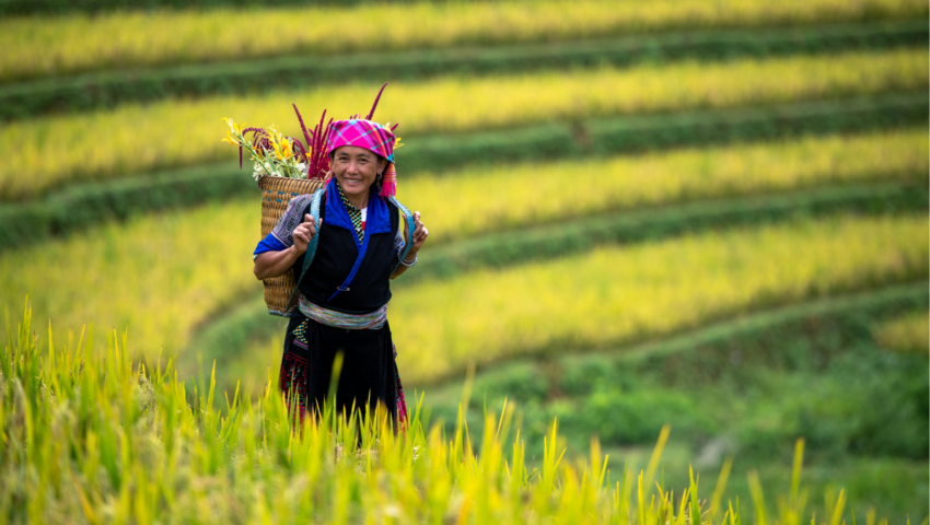 viaje tailandia camboya vietnam