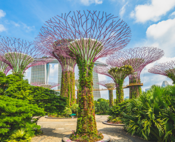 Gardens by the Bay