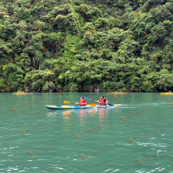 Crucero por la bahía de Ha Long