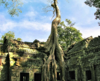 Exploración de los templos de Ta Prohm