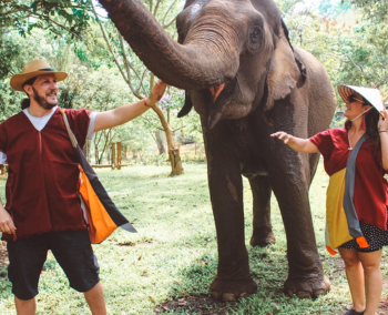 Santuario de elefantes en Chiang Mai