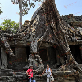 Siem Reap - Visita al templo Angkor