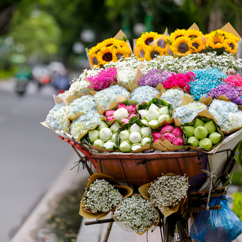 Llegada a Hanoi