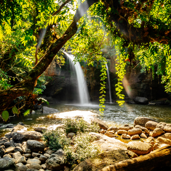 Parque Nacional Khao Yai