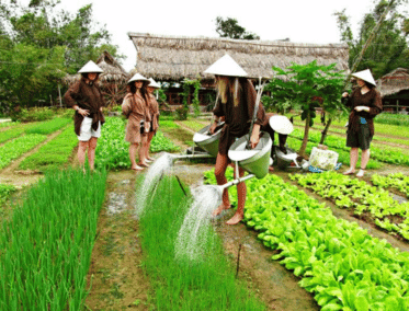 El Huerto que Alimenta el Alma de Hoi An