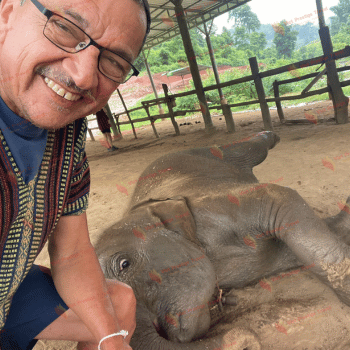 Aventuras en la Jungla y Cultura Lanna en Chiang Mai