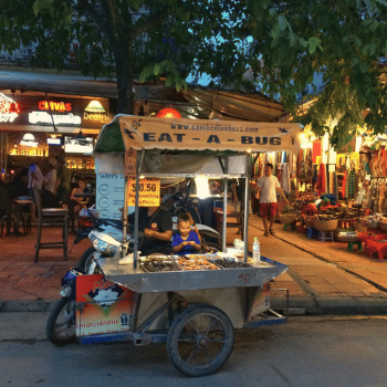 Ciudad de Ho Chi Minh - Siem Reap