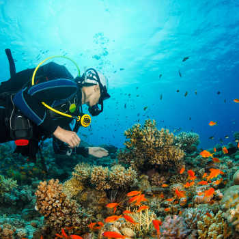 Exploración de las islas de El Nido