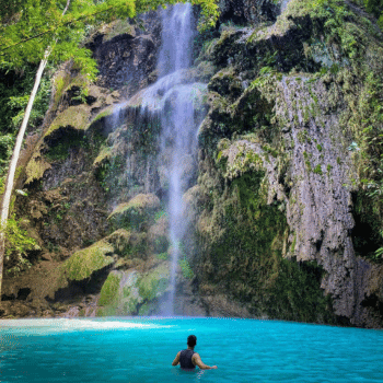 Encuentro con Gigantes Marinos y Paraíso Tropical