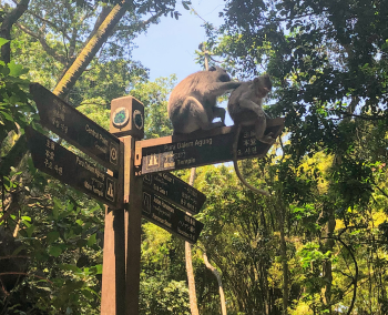 Santuario del Bosque de los Monos Sagrados