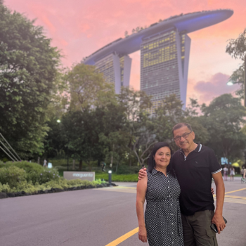 Tour por la ciudad de Singapur