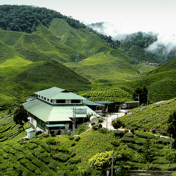 Kuala Lumpur - Cameron Highlands