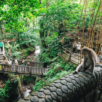 Arte, Naturaleza y Tradiciones de Bali